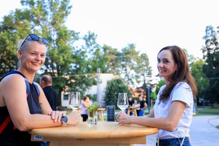 24504X0931 – kopija